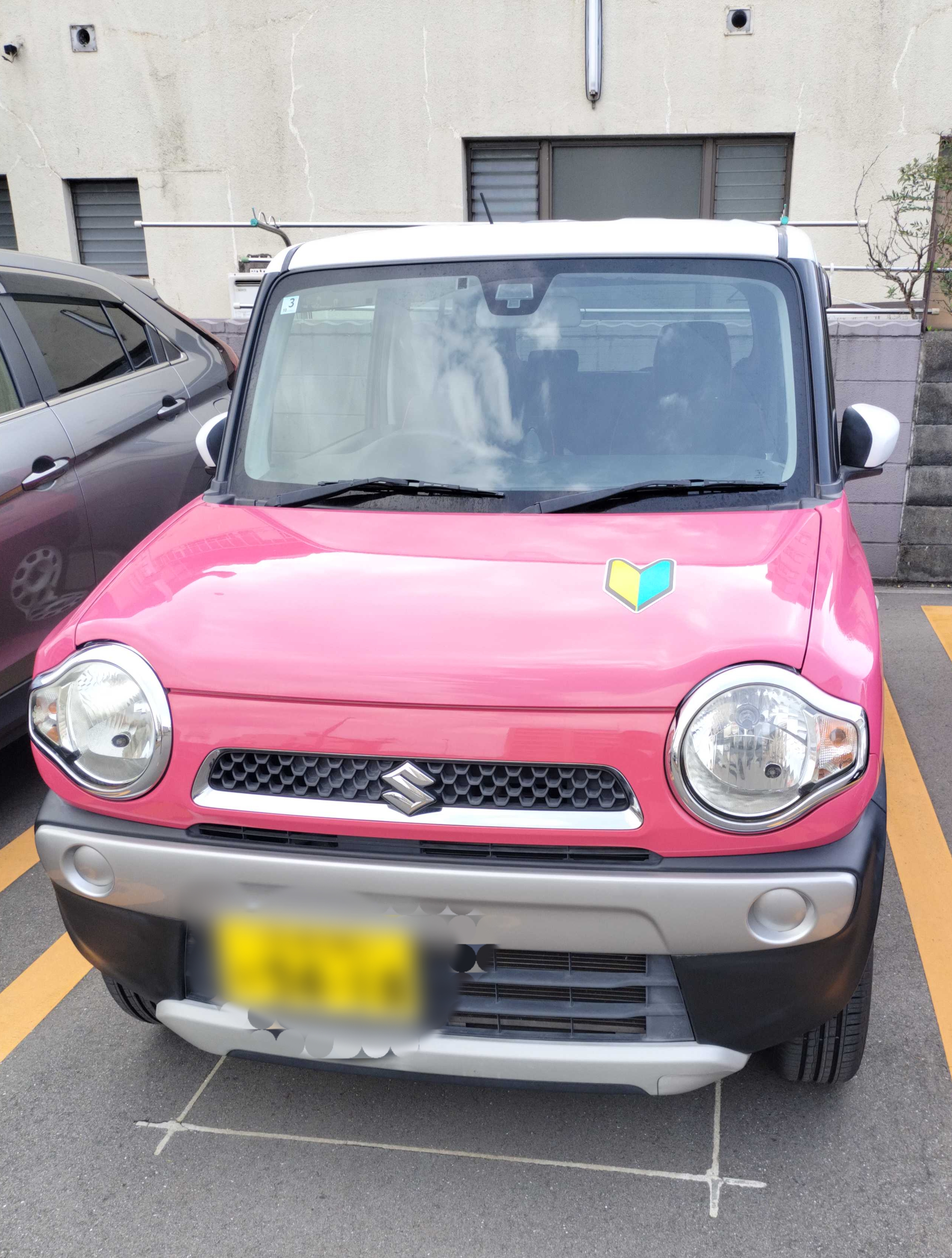 ハスラーを買ってしまった♪